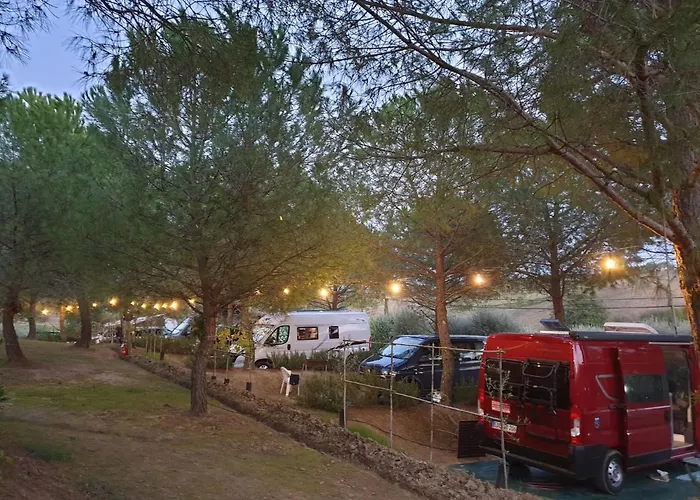 Agricamping Poggio Ai Pini Wine Camping