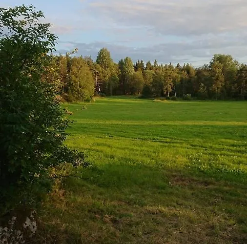 Liten Enklare Klimatsmart Stuga I Roslagen