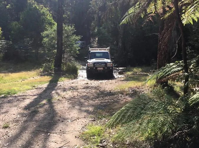 Pnl 4Wdriving Narbethong