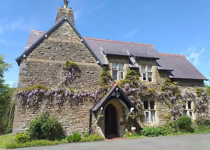 St David'S Guesthouse