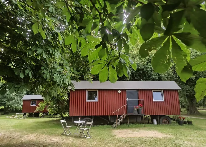 Schaeferwagen Auf Dem Naturgut-Saalkow