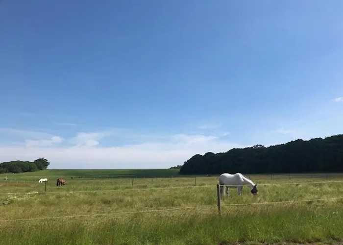 Rockinghams Farm