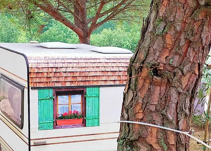 Agricamping Poggio Ai Pini Wine Camping