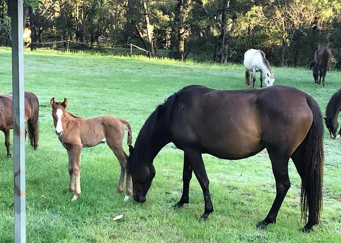 Emu Creek Retreat