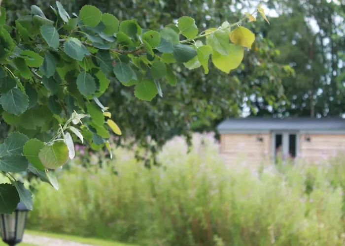 Luxury Shepherds Hut - The Moorhen By The Lake