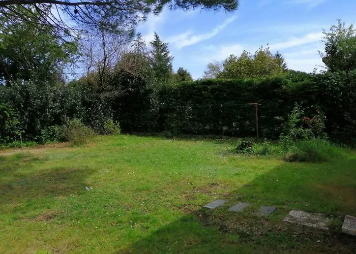 Emplacement De Toile De Tente Dans Jardin