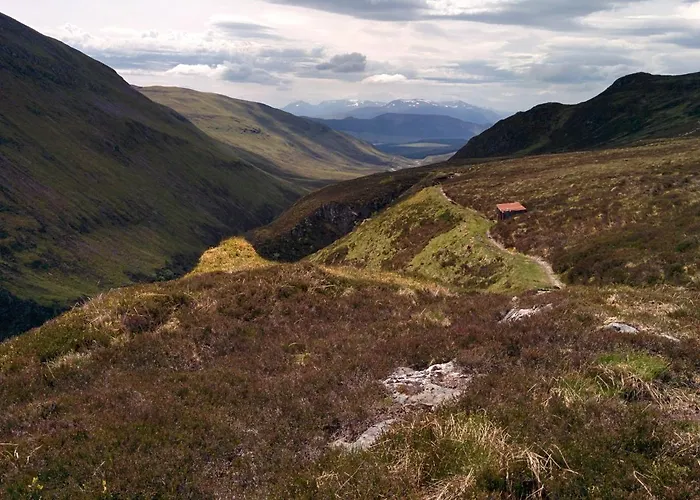 Wee Wilds