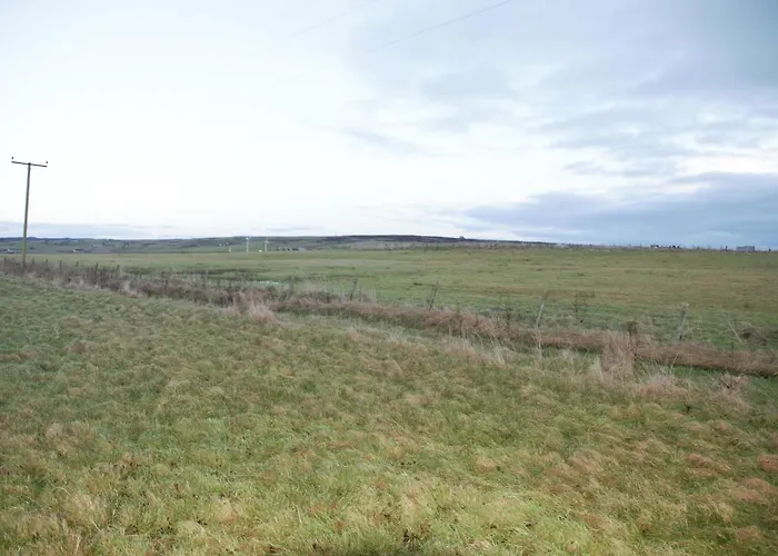 The Windy Roost