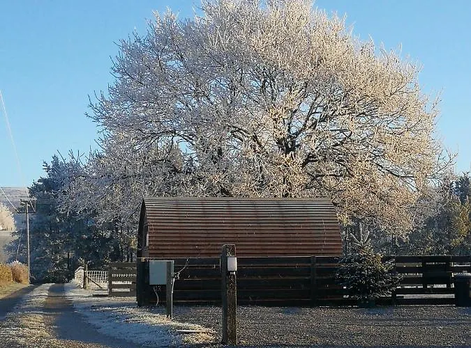 Sunny Mount Glamping Pod