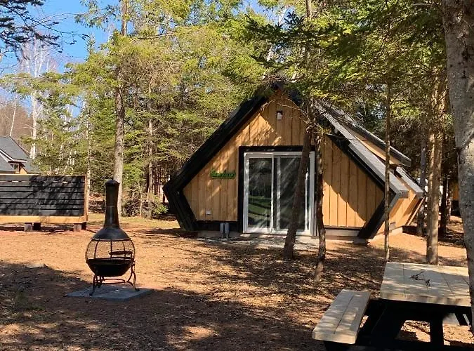 Wild Pines Cabins
