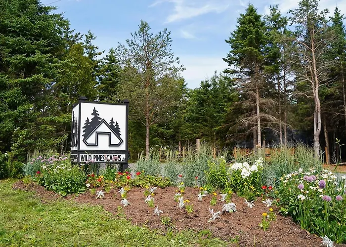 Wild Pines Cabins