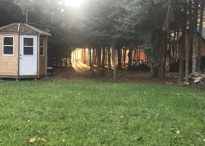 Wild Pines Cabins
