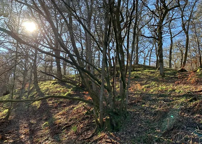 Loch Ness Woodland Pods