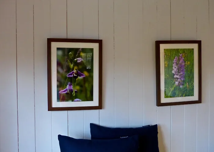 Oak Shepherds Hut