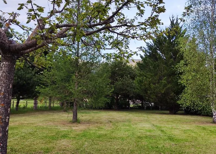 Mobil Home Sur Grand Terrain Cloture Et Arbore