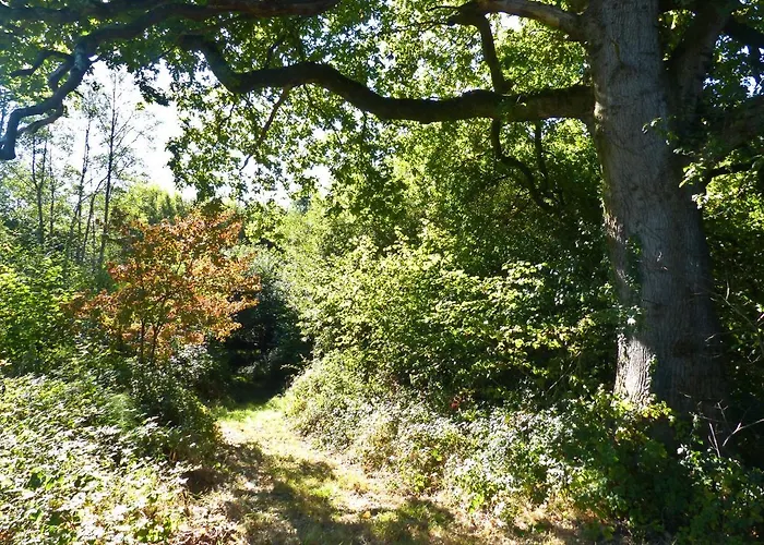 Oak Shepherds Hut