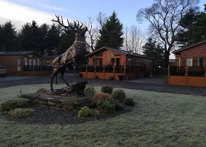 Silver Birch Lodge