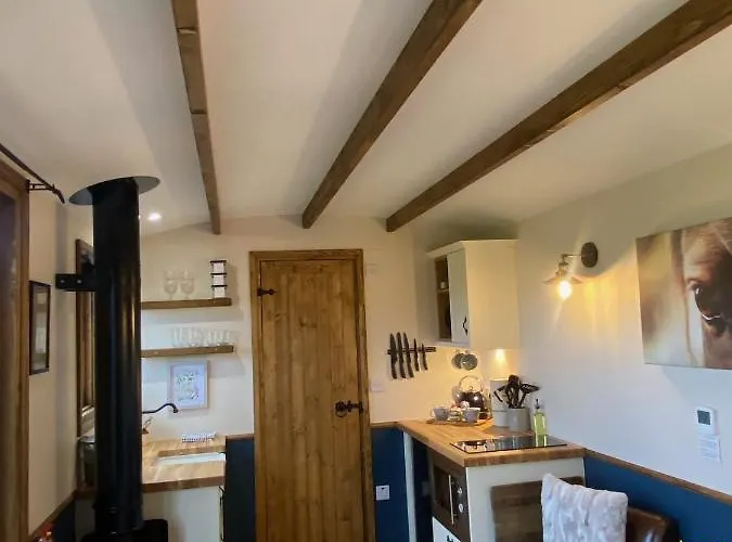 Silver Fern Glamping
