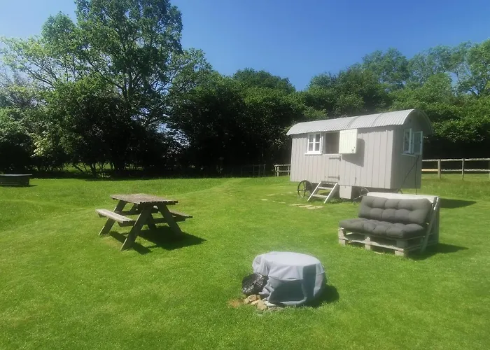 Molly Dishwasher Shepherds Hut