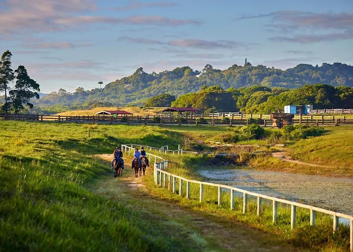 Kur-Cow Farm Escape 35 Minutes From Cairns