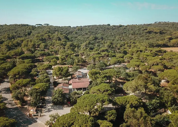 Camping Ladouceur