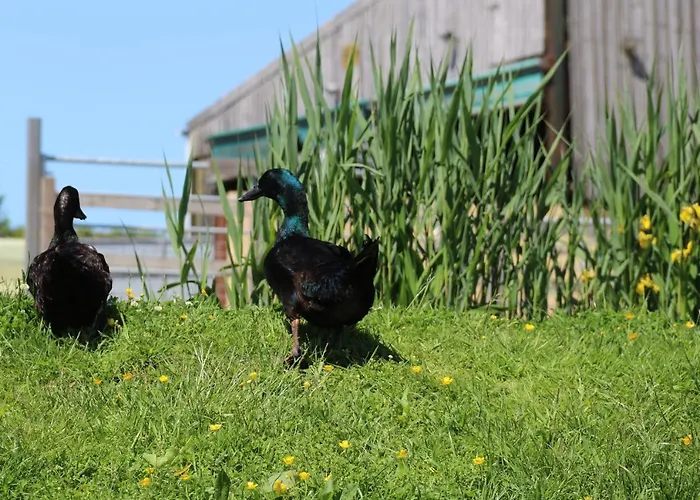 Knapp Farm Glamping Lodge 1