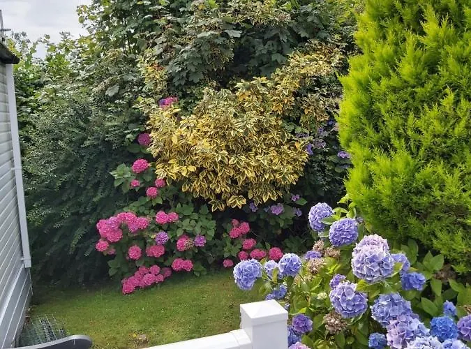 Wood Farm Holiday Park