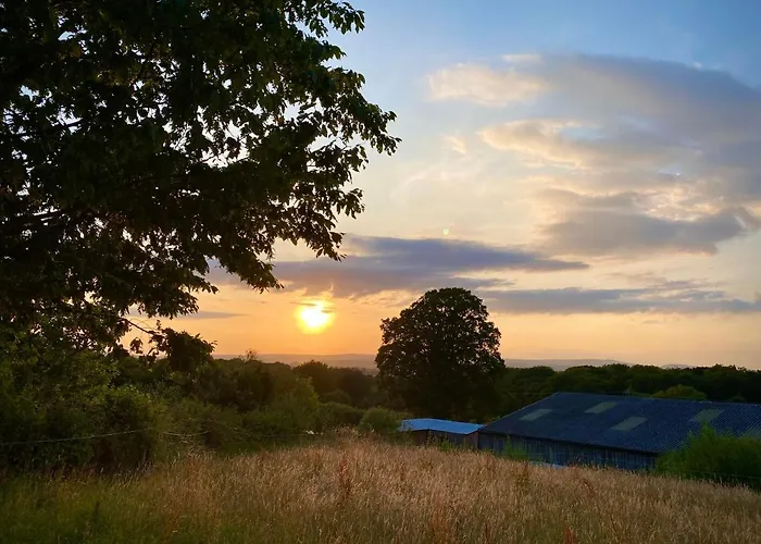 Cherry Tree Glamping Lodge