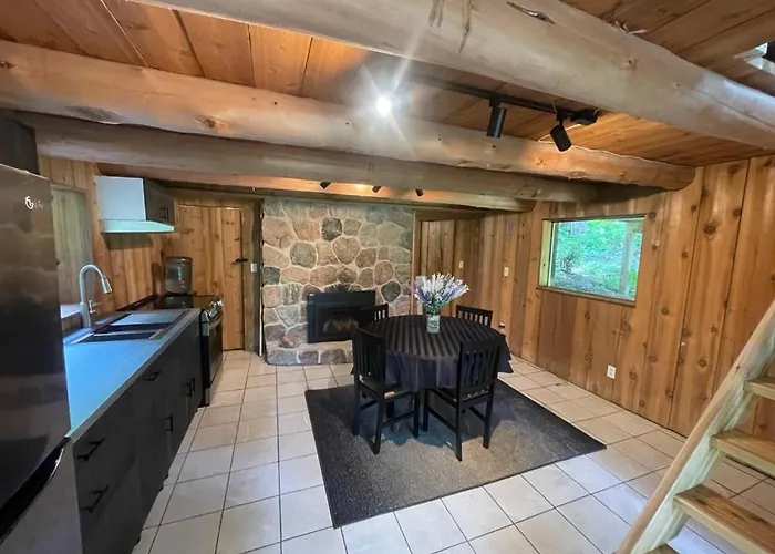 John Wayne Cedar Oasis
