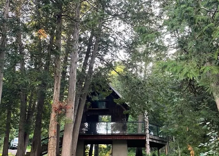 John Wayne Cedar Oasis