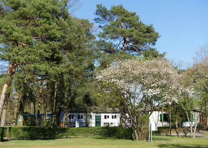 Camping Aller Leine Tal