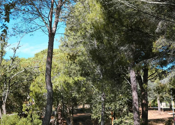 Camping Ladouceur