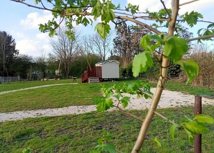 Woodpecker Shepherds Hut