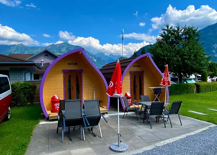 Camping Lazy Rancho - Family & Adventure