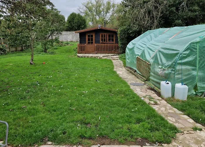 The Cabin - This Is Not The Ritz But It Is Better Than Camping I Have Whippets And Greyhounds
