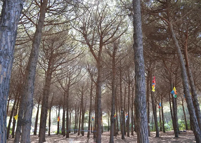 Giannella Camping