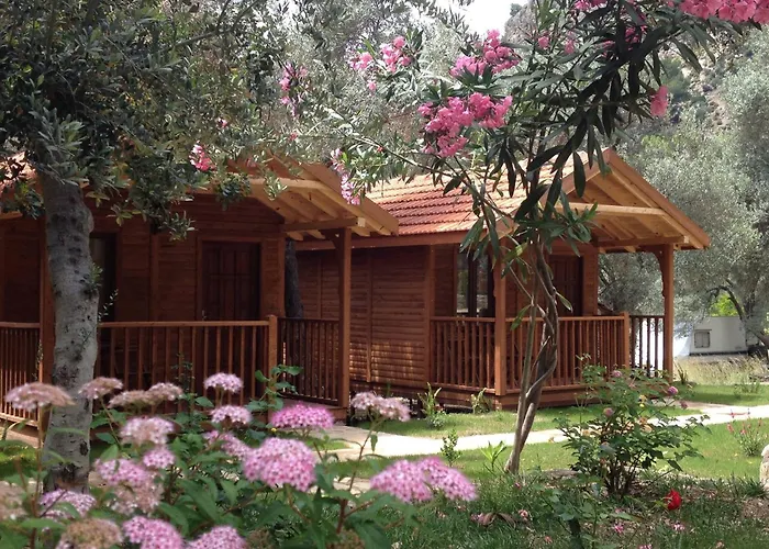 Kidrak Otel Montenegro-1