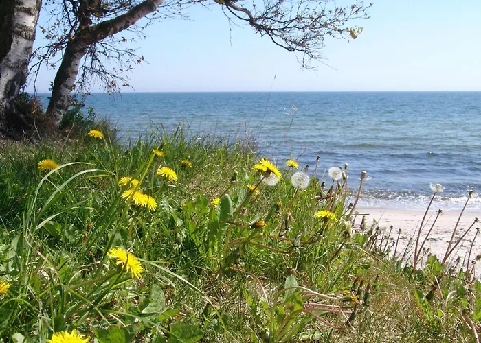 Ystad Camping