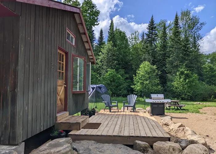Meadowlark Cabin #5