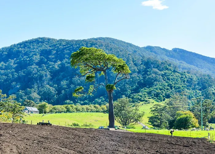 Mountain View Tilba Tilba - Glamping