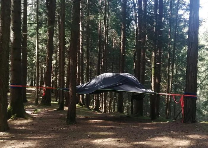 Placat Eco Camping Nel Bosco