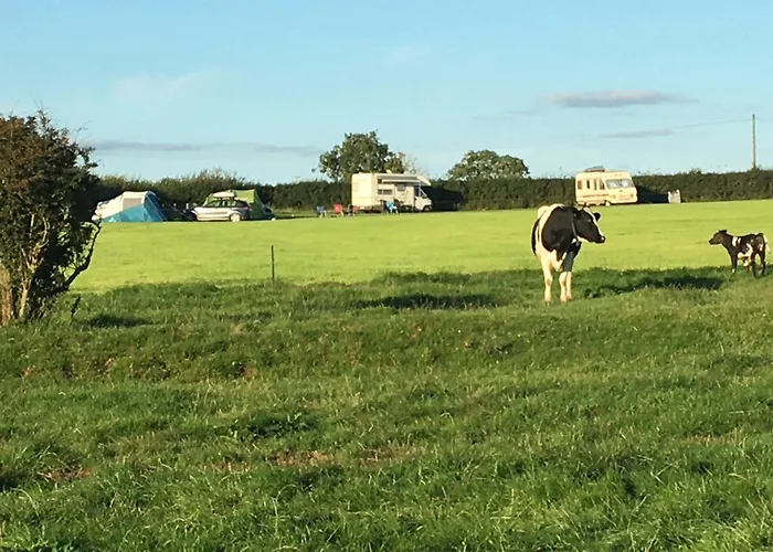 Carreg Y Gwynt Campsite - Touring And Tent Pitches