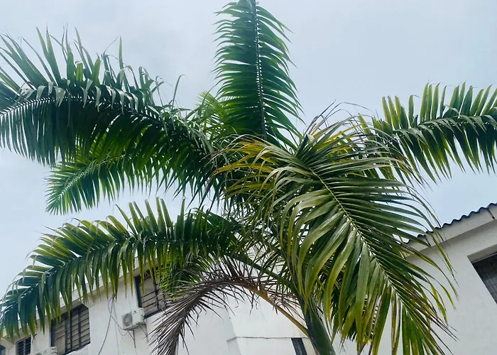 Paraiso Pie De La Popa