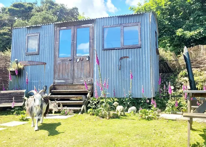 Treguth Glamping Unique Experience - Themed Huts