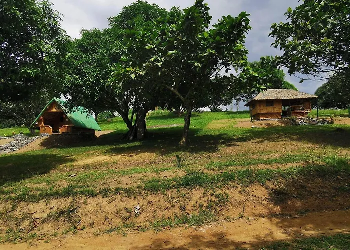 Bamboo Huts Farm Stay At Humming Strawberry Farm