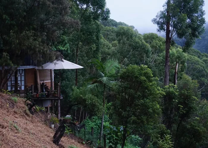 The Treepod Of The Treehouse