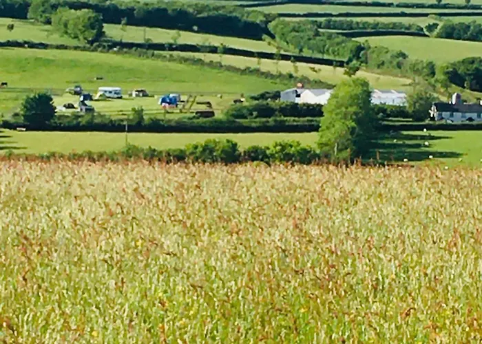 Headgate Farm Camp Site - Pitches Only - Bring Your Own Tent Or Van