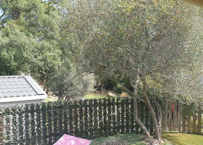 Camping Les Cigales - Tikayan
