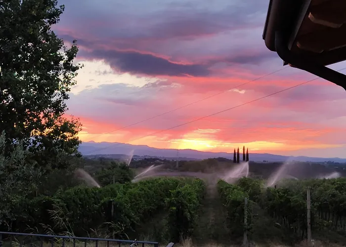 Agricampeggio Al Cielo Stellato