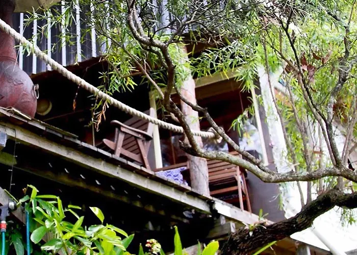 The Treepod Of The Treehouse